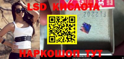 стафф Малгобек