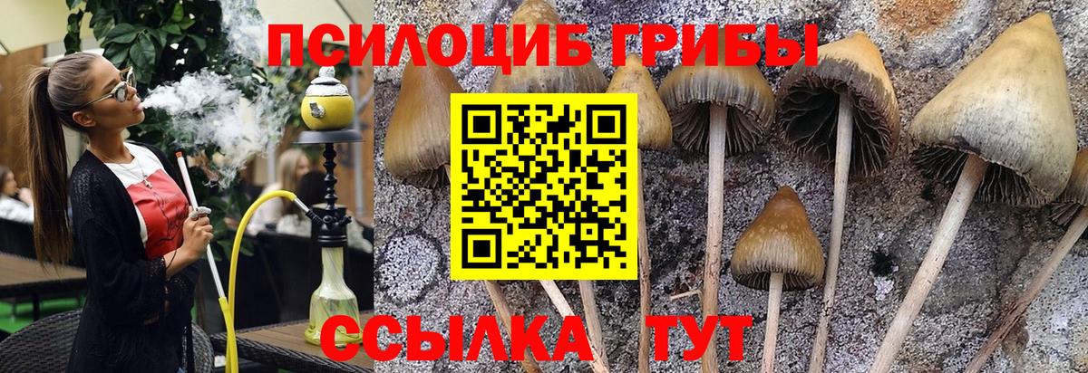 Тихорецк  Псилоцибиновые грибы мухоморы  Галлюциногенные грибы Cubensis  Вход с VPN 